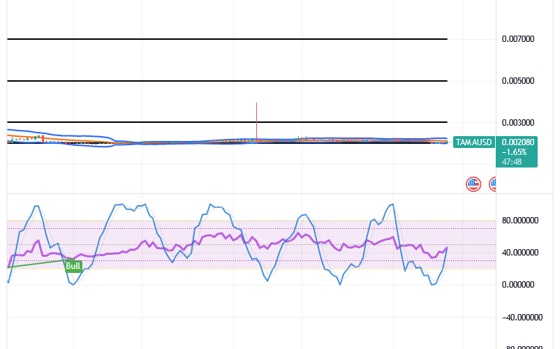Tamadoge (TAMA/USD) Trade Stays Basing, Garnering Spiral Signs