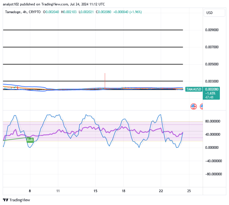 Tamadoge (TAMA/USD) Trade Stays Basing, Garnering Spiral Signs