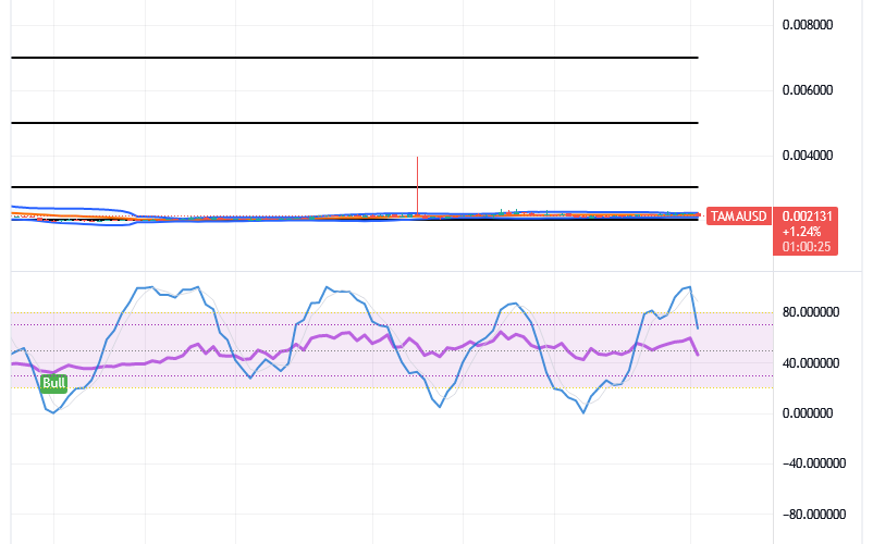 Tamadoge (TAMA/USD) Trade Is Recessing, Building Up Strength