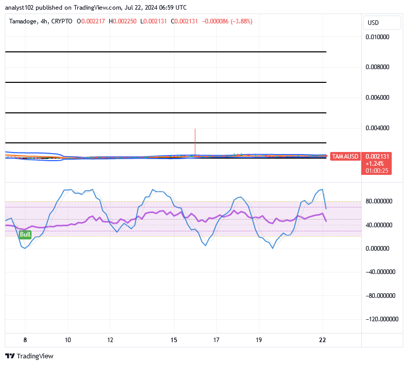 Tamadoge (TAMA/USD) Trade Is Recessing, Building Up Strength