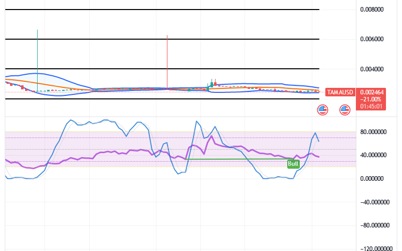 Tamadoge (TAMA/USD) Market Is Fine-tuned, Holding Bounces