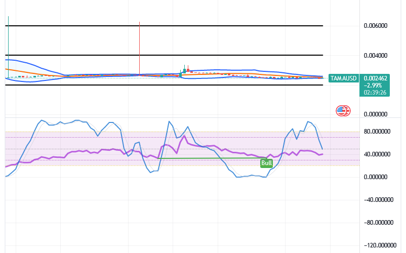 Tamadoge (TAMA/USD) Market Holds Basis, Composing Spirals