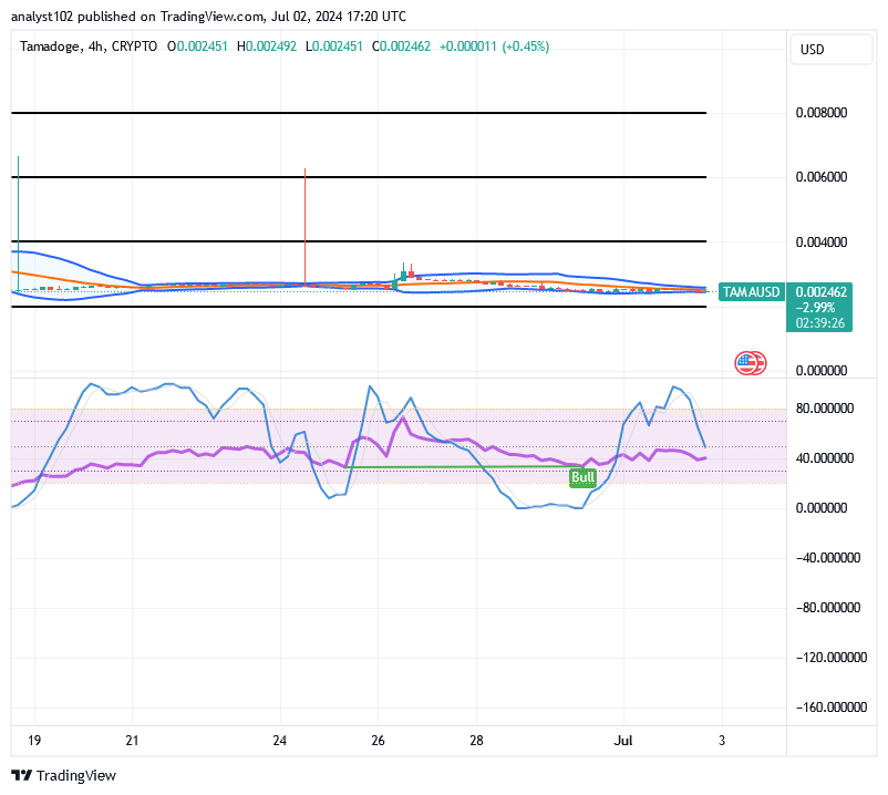 Tamadoge (TAMA/USD) Market Holds Basis, Composing Spirals