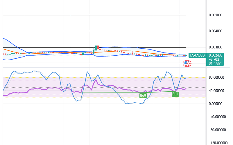 Tamadoge (TAMA/USD) Market Presses Flat, Making Bounces