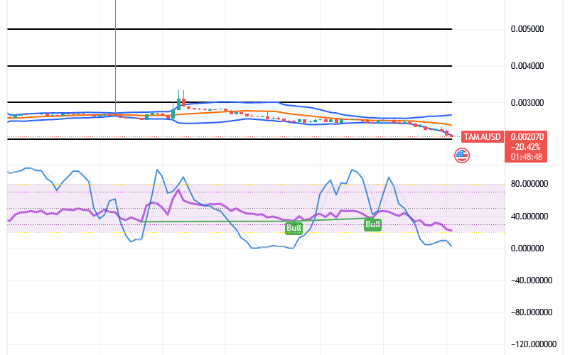 Tamadoge (TAMA/USD) Market Declines, Conjecturing Bounces