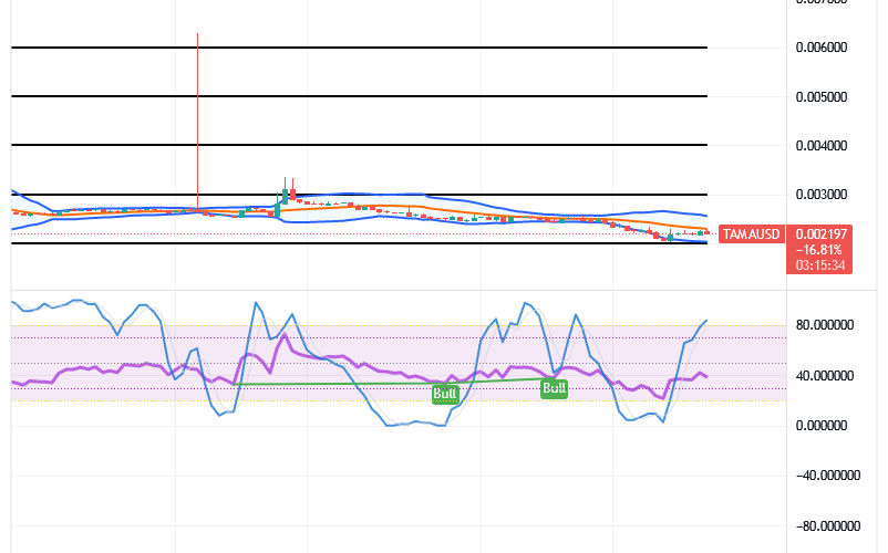 Tamadoge (TAMA/USD) Price Goes Down, Proposing Rebounds