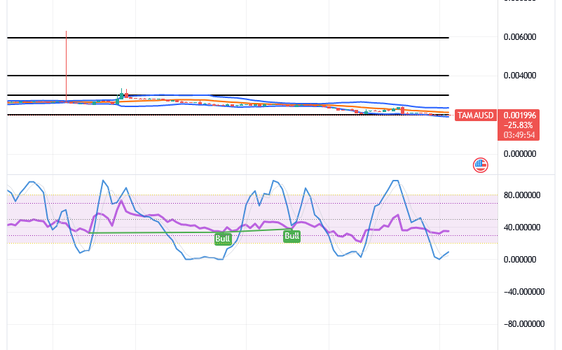 Tamadoge (TAMA/USD) Price Declines, Paving Hike Impulses