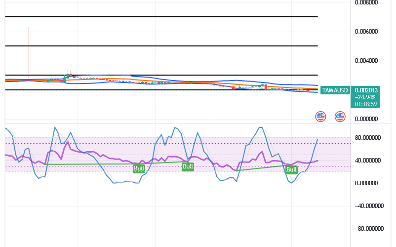 Tamadoge (TAMA/USD) Price Is Down, Gathering Bounces