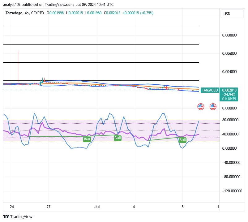 Tamadoge (TAMA/USD) Price Is Down, Gathering Bounces