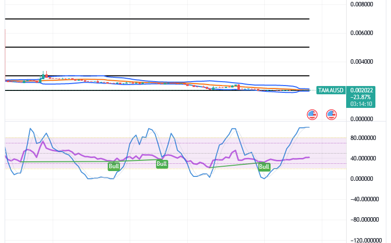 Tamadoge (TAMA/USD) Price Fine-tunes Basis, Holding Spirals