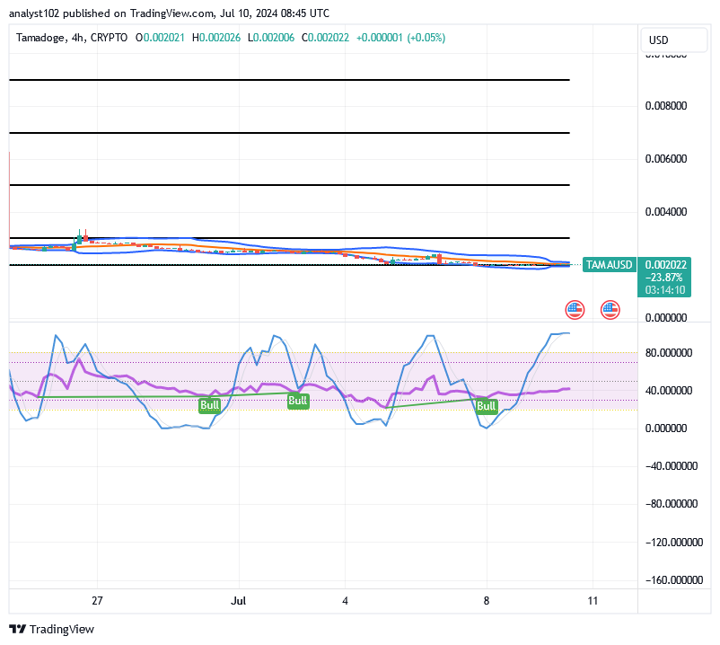 Tamadoge (TAMA/USD) Price Fine-tunes Basis, Holding Spirals