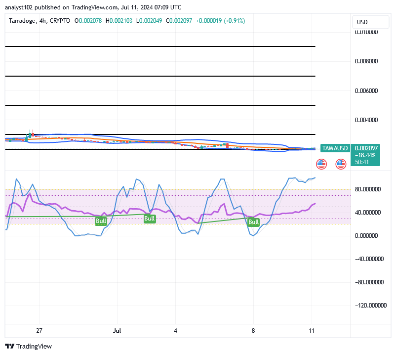 Tamadoge (TAMA/USD) Price Builds Up, Fine-tuning Momentum