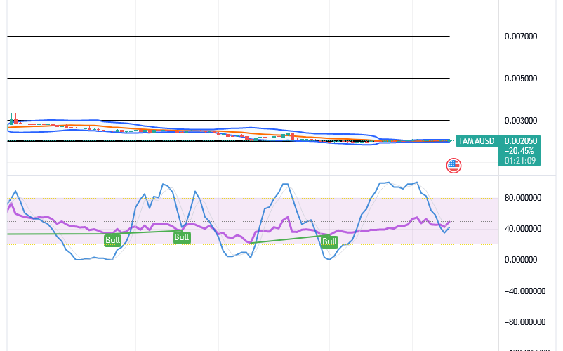 Tamadoge (TAMA/USD) Price Compresses, Finding Hike Inputs