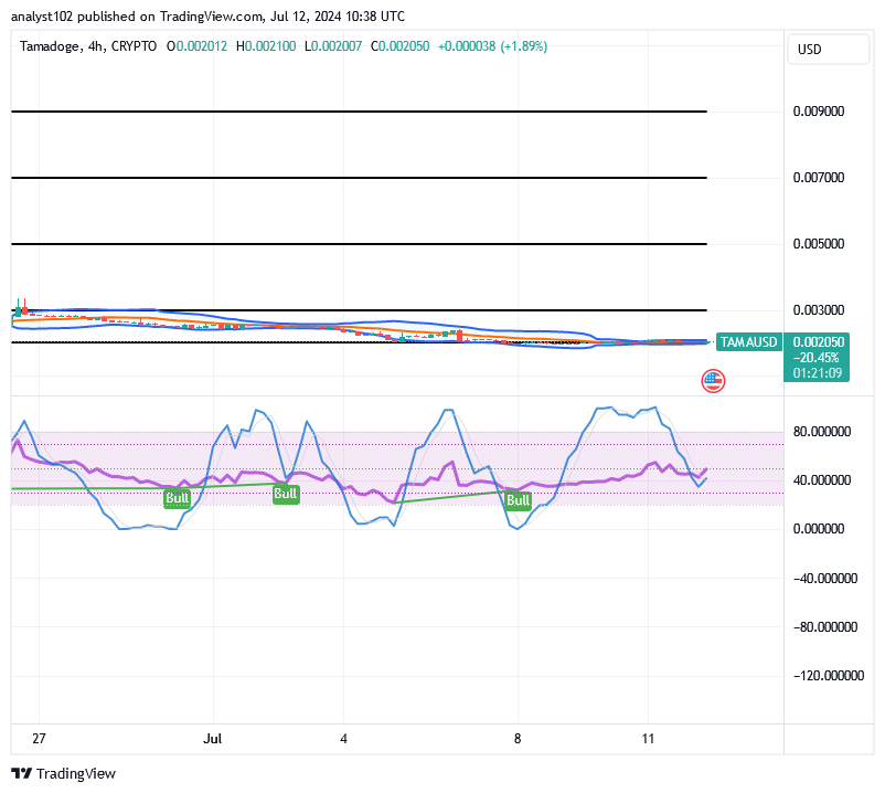 Tamadoge (TAMA/USD) Price Compresses, Finding Hike Inputs