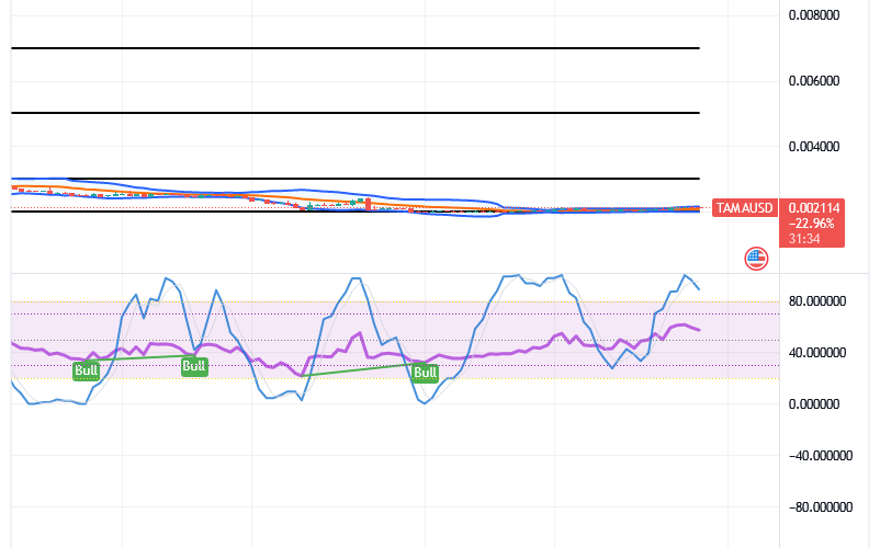 Tamadoge (TAMA/USD) Market Hovers, Holding Rising Signs
