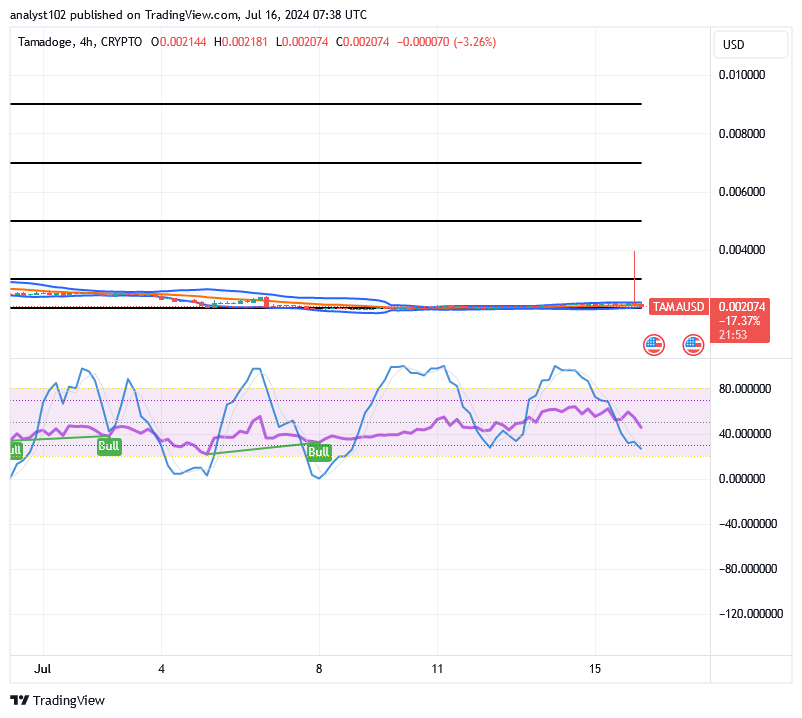 Tamadoge (TAMA/USD) Market Surges, Finding Basis