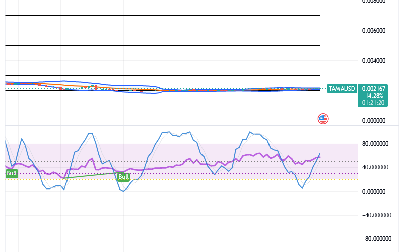 Tamadoge (TAMA/USD) Market Bounces, Portending Spirals