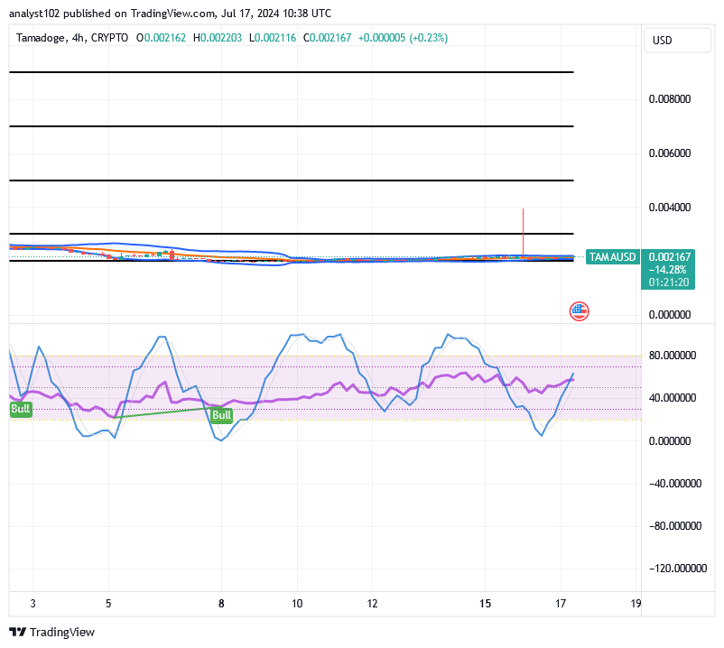 Tamadoge (TAMA/USD) Market Bounces, Portending Spirals