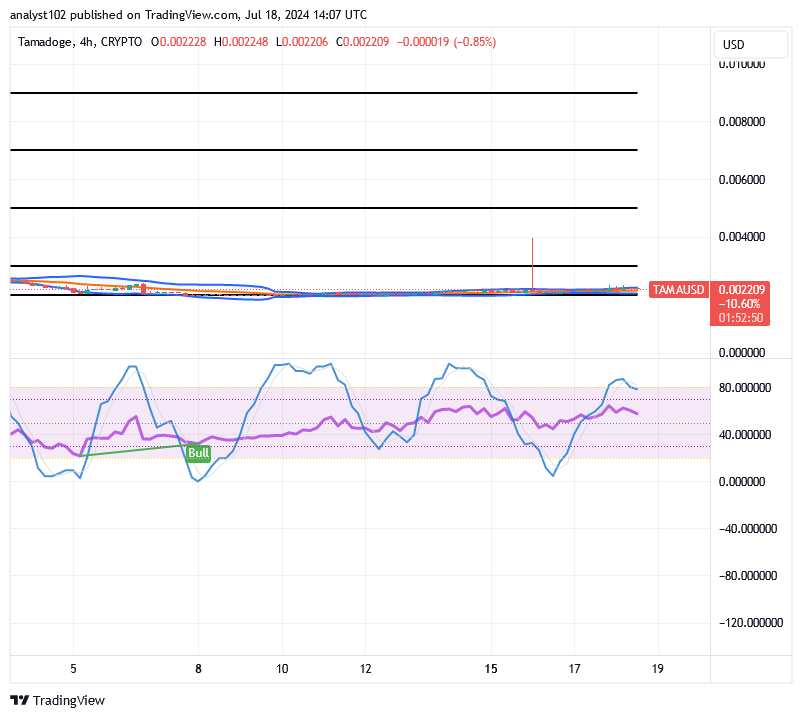 Tamadoge (TAMA/USD) Market Is Spiking, Finding a Basis