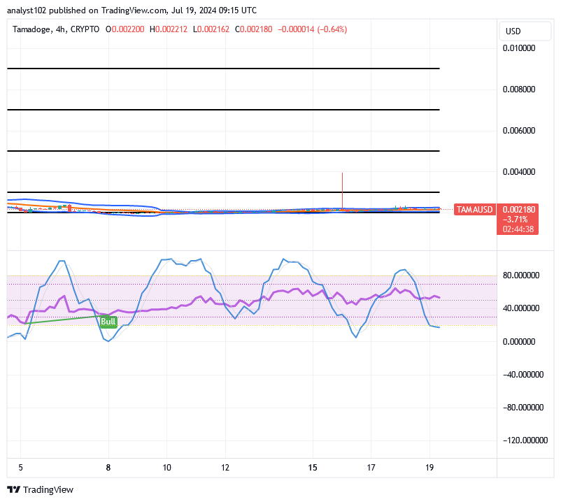 Tamadoge (TAMA/USD) Market Is Under Barriers, Raising Hikes