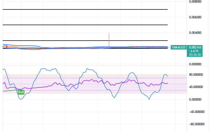 Tamadoge (TAMA/USD) Trade Slows Action, Composing Spikes