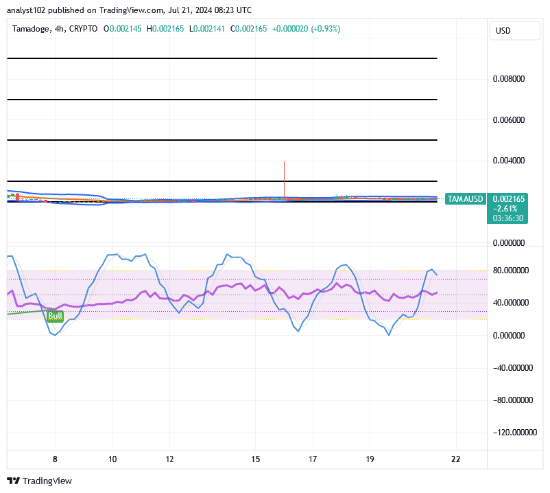 Tamadoge (TAMA/USD) Trade Slows Action, Composing Spikes