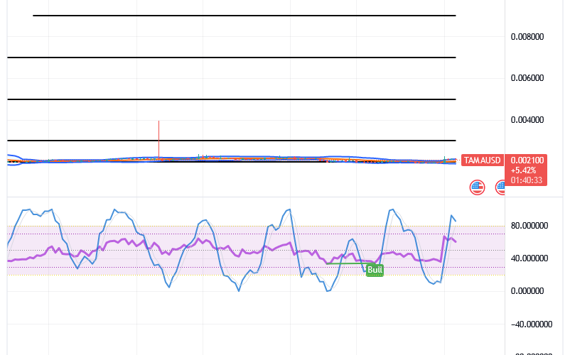 Tamadoge (TAMA/USD) Prices Are Hovering, Holding a Basis