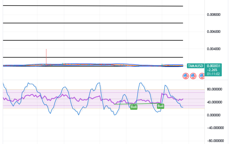 Tamadoge (TAMA/USD) Price Has Spirals, Holding a Base