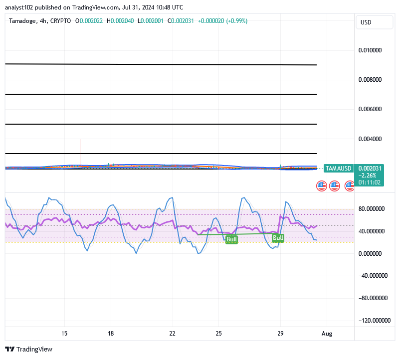 Tamadoge (TAMA/USD) Price Has Spirals, Holding a Base