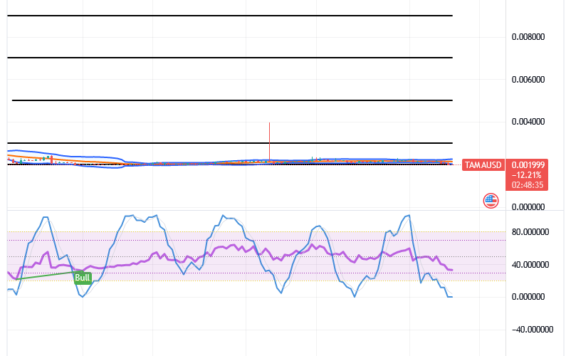 Tamadoge (TAMA/USD) Trade Debases, Searching for Bounces