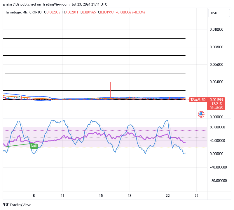 Tamadoge (TAMA/USD) Trade Debases, Searching for Bounces