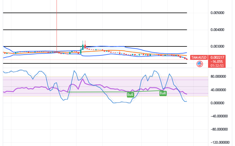 Tamadoge (TAMA/USD) Market Slows Lowering, Keeps Hikes