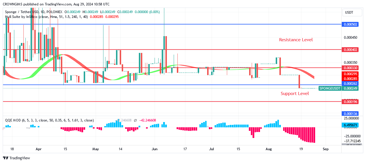 Sponge (SPONGEUSDT) Price Is an Ideal Choice