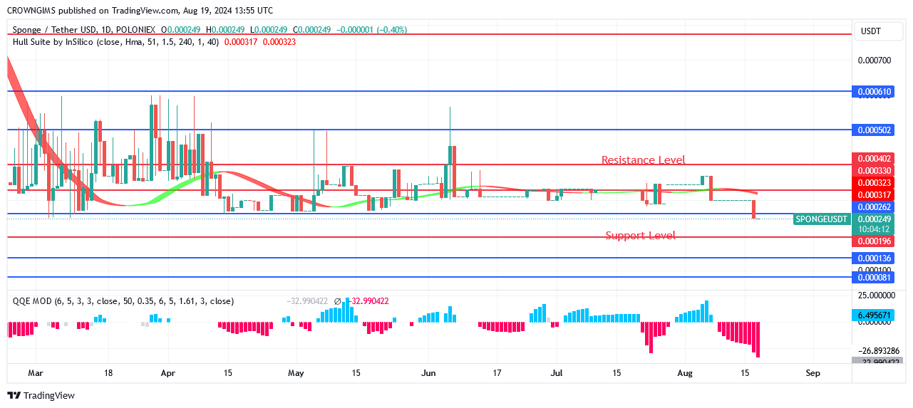 Sponge (SPONGEUSDT) Price: More Clients Are Attracted