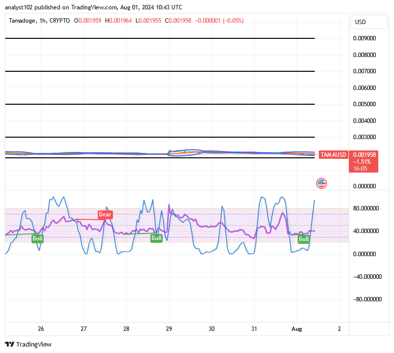 Tamadoge (TAMA/USD) Price Is Rebasing, Signaling Spikes