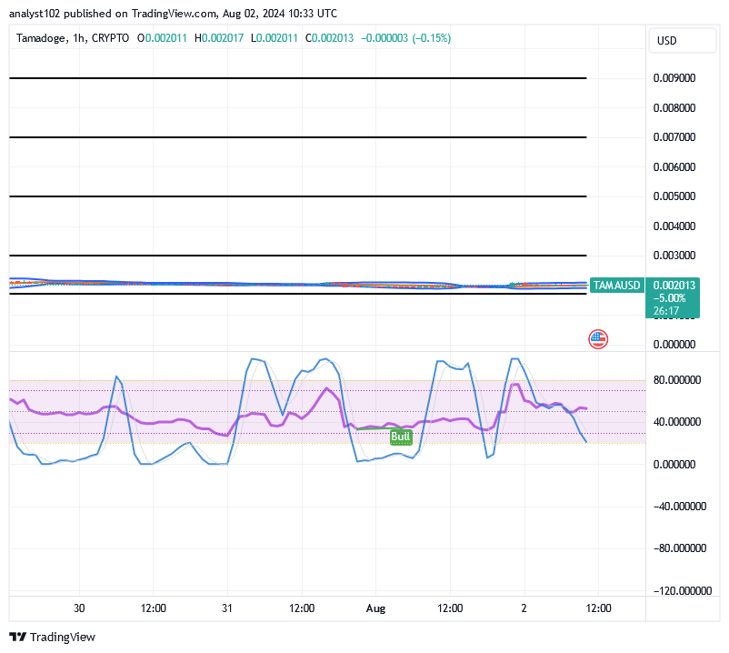 Tamadoge (TAMA/USD) Price Is Fine-tuning Basis, Settling for Rises