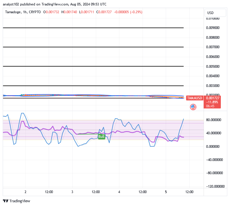 Tamadoge (TAMA/USD) Market Sets on Basing, Signaling Rises