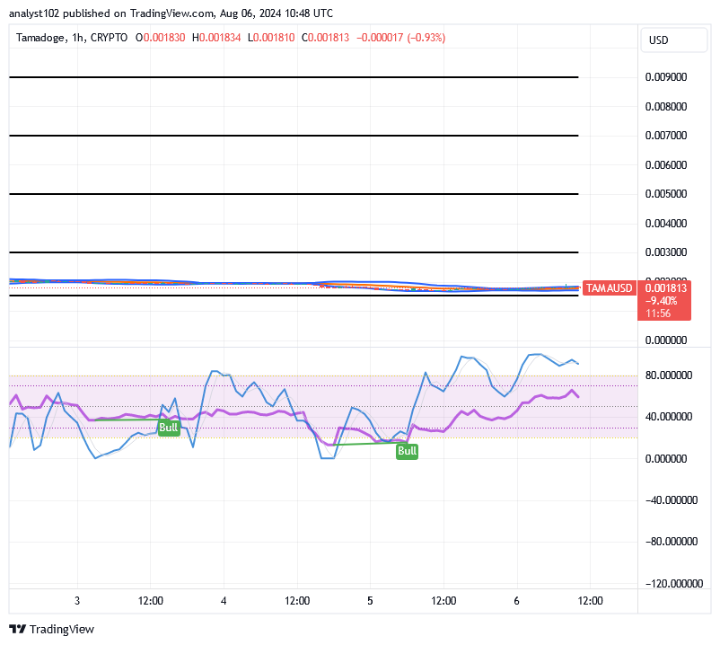 Tamadoge (TAMA/USD) Market Is Recessing, Composing Spikes