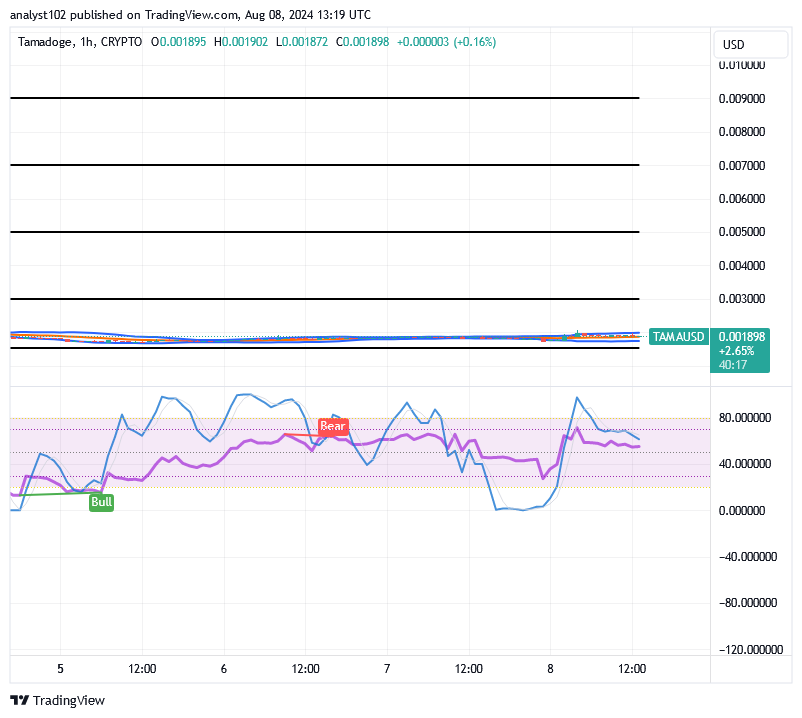 TAMA/USD, Tamadoge, TAMA, Technical Analysis