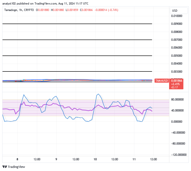 Tamadoge (TAMA/USD) Price Is in Ranges, Building Hikes