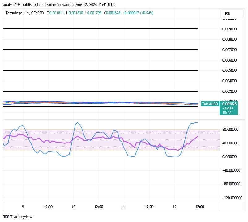 Tamadoge (TAMA/USD) Price Is Fluctuating, Nurturing Rises