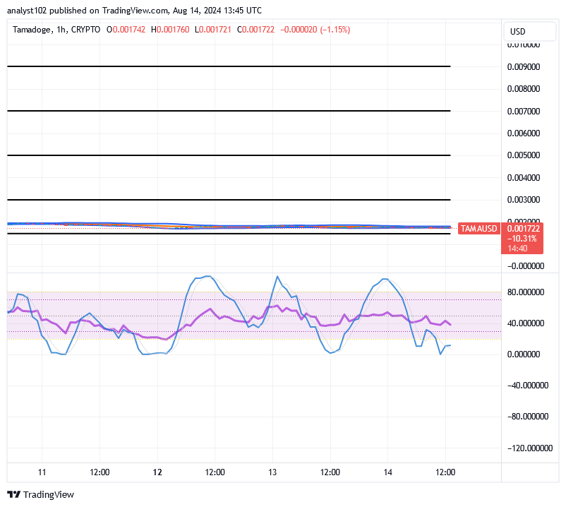 Tamadoge (TAMA/USD) Price Is Basing, Finding a Shoot-Up