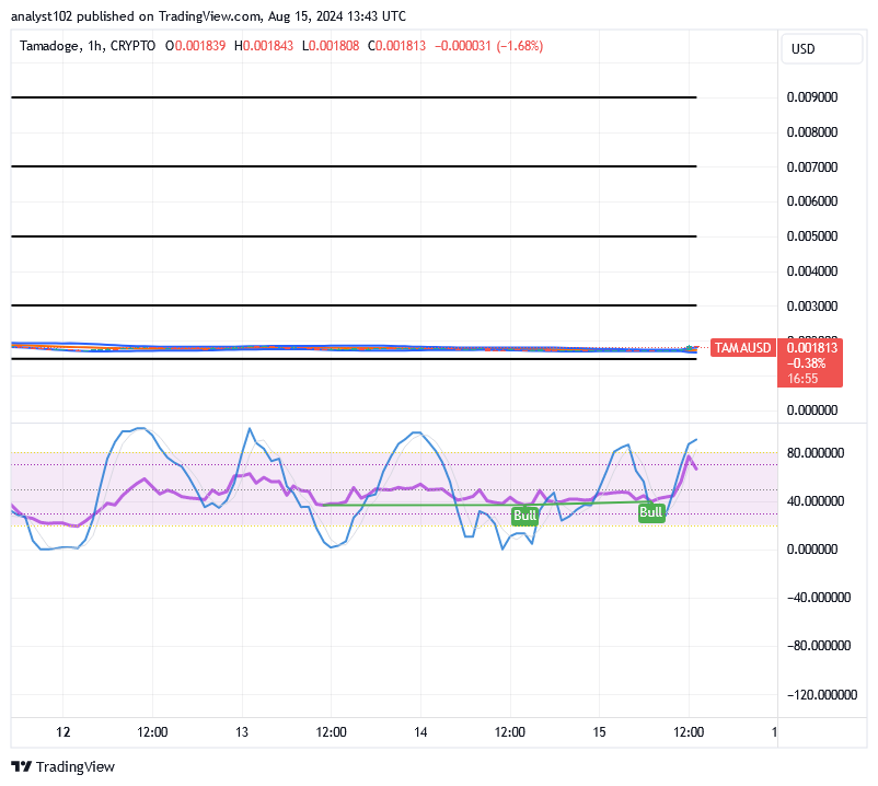 Tamadoge (TAMA/USD) Price Is Flatting, Fine-tuning Hikes