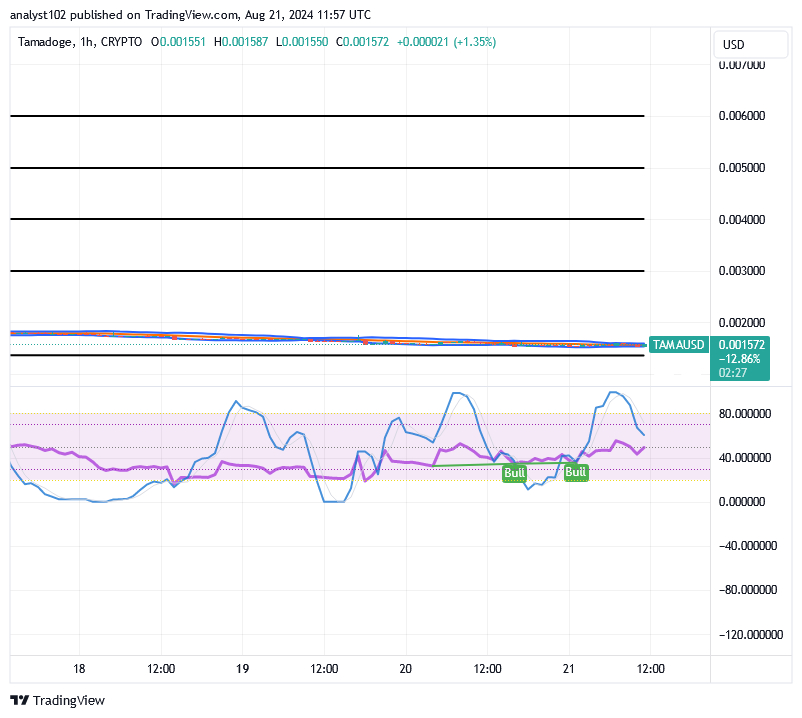 Tamadoge (TAMA/USD) Price Wags About, Conjecturing Spirals