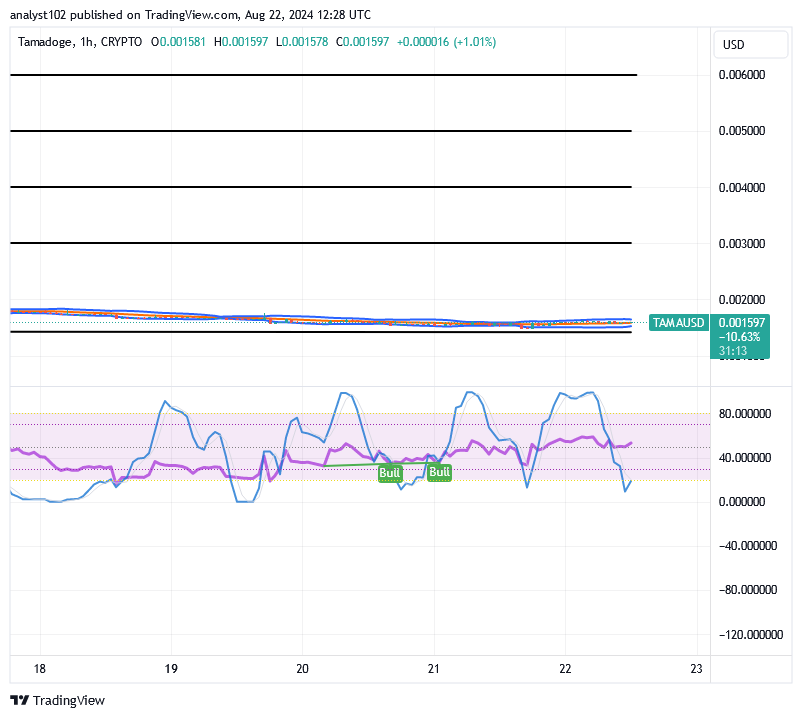 Tamadoge (TAMA/USD) Price Goes Reducing, Makes Spiking Signs