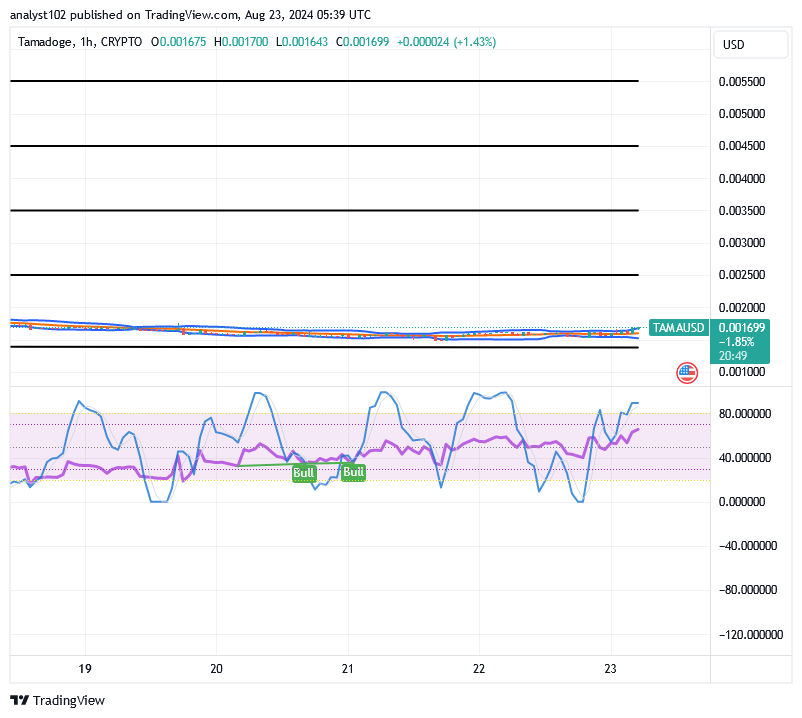 Tamadoge (TAMA/USD) Price Holds Positive, Increases Rallies