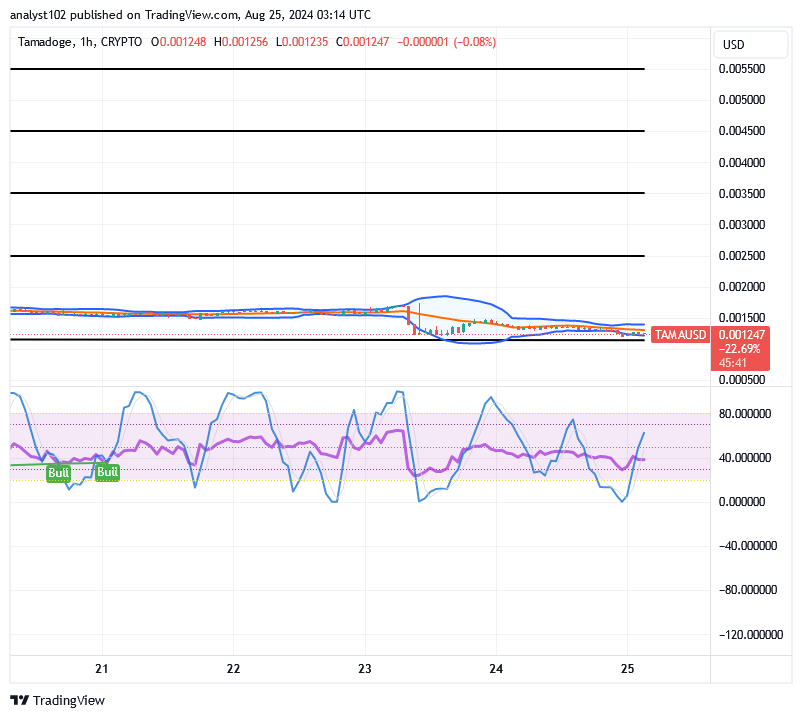 Tamadoge (TAMA/USD) Market Debases, Sustaining Rise Myths