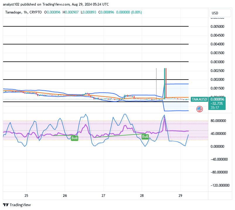 Tamadoge (TAMA/USD) Market Is Receding, Holds Rise Signs