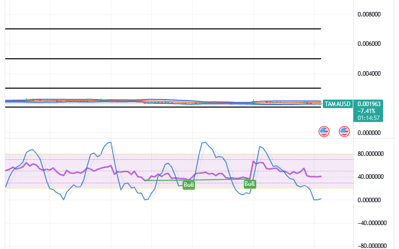 Tamadoge (TAMA/USD) Price Is Rebasing, Signaling Spikes