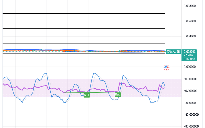 Tamadoge (TAMA/USD) Price Is Fine-tuning Basis, Settling for Rises